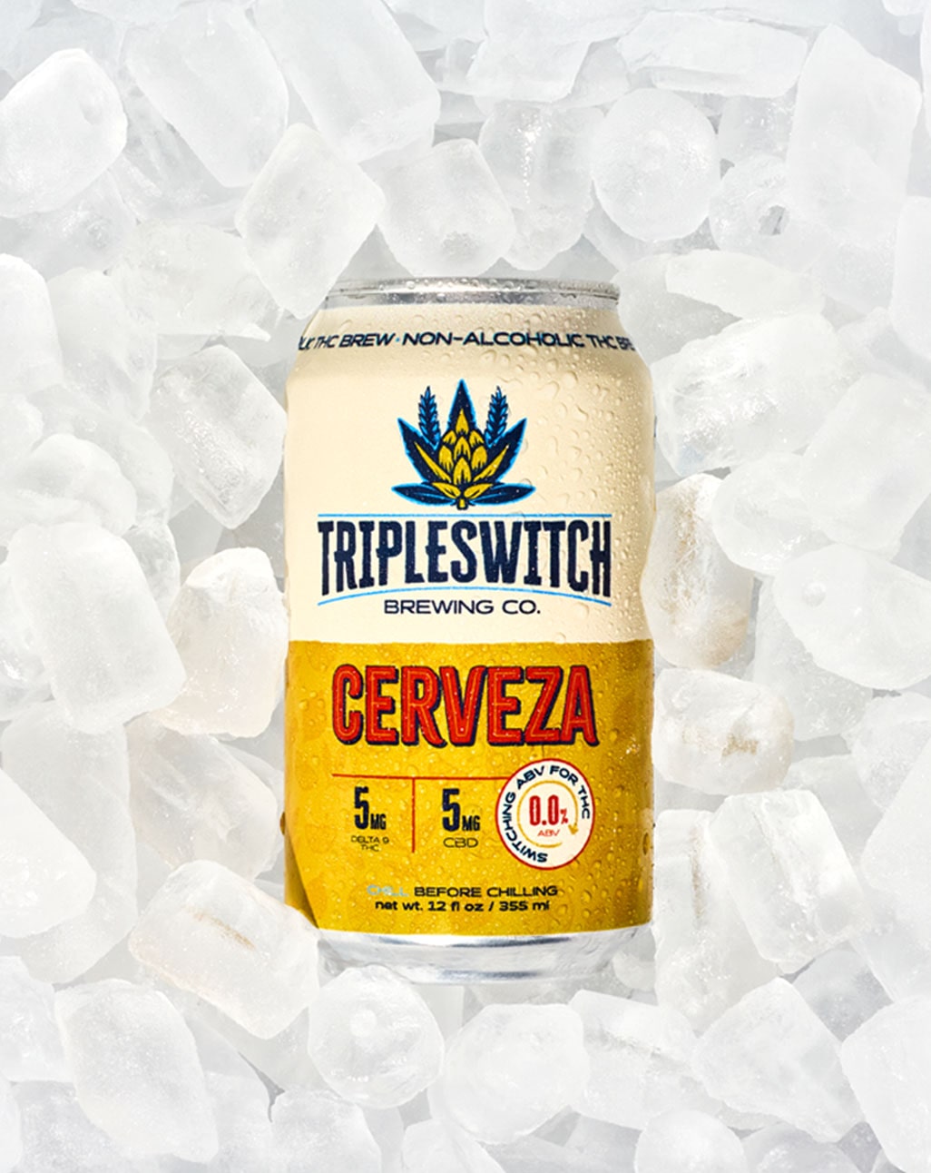 CERVEZA - Case